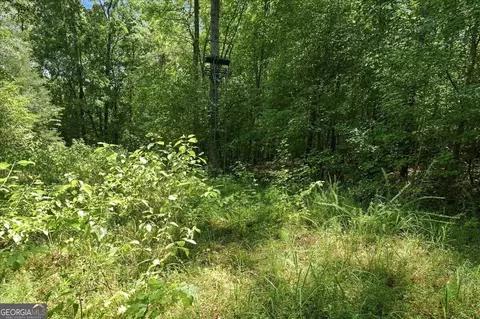 0 Cherokee Rd, Elberton, GA 30635 photo 5
