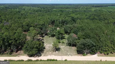 1046 Homer Bunch Rd, Statesboro, GA 30461