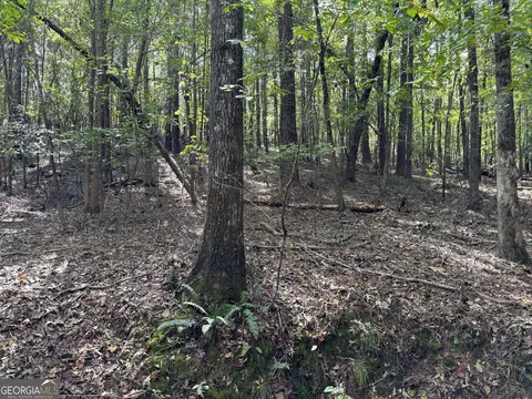 0 N Pointe Dr, Tignall, GA 30668 photo 4