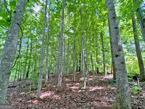 40 7ac Falling Pines Rd, Dahlonega, GA 30533