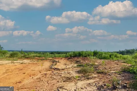 Tract 3 Highway 0036, Woodland, GA 31836
