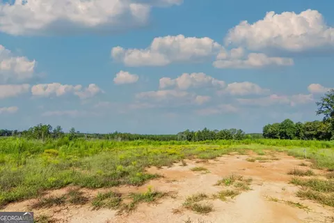 Tract 5 Carlisle Gap Road, Woodland, GA 31836