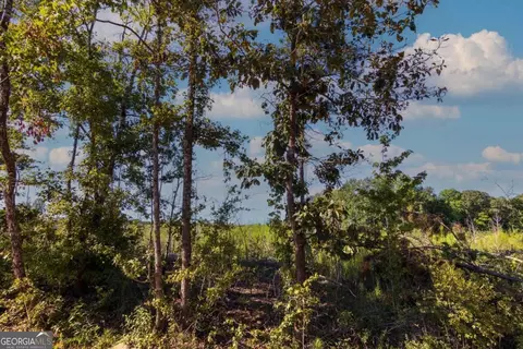 Tract 6 Carlisle Gap Road, Woodland, GA 31836
