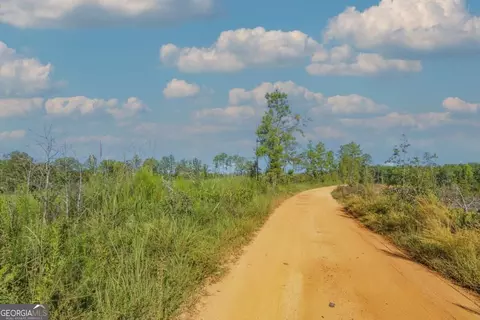 Tract 7 Carlisle Gap Road, Woodland, GA 31836