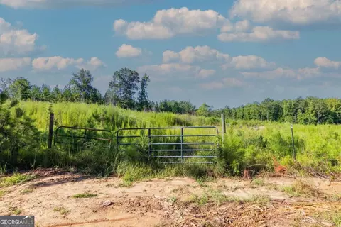 Tract 8 Carlisle Gap Road, Woodland, GA 31836