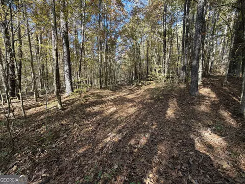 1503 Mcdonald Road # 1, Covington, GA 30014 photo 20