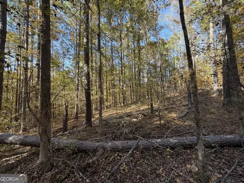 1503 Mcdonald Road # 1, Covington, GA 30014 photo 15