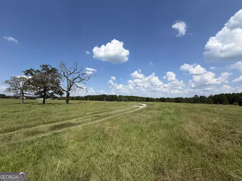 23 03 Acres Carters Bridge Rd, Claxton, GA 30417 photo 10