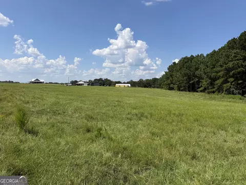 23 03 Acres Carters Bridge Rd, Claxton, GA 30417 photo 9