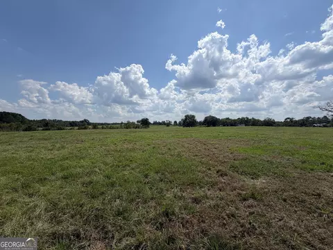 23 03 Acres Carters Bridge Rd, Claxton, GA 30417 photo 11