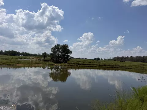 23 03 Acres Carters Bridge Rd, Claxton, GA 30417 photo 14
