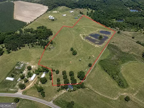23 03 Acres Carters Bridge Rd, Claxton, GA 30417 photo 2