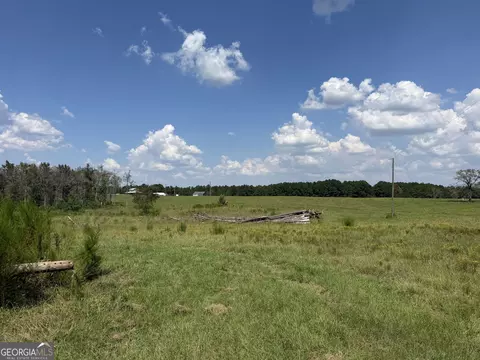 23 03 Acres Carters Bridge Rd, Claxton, GA 30417 photo 8
