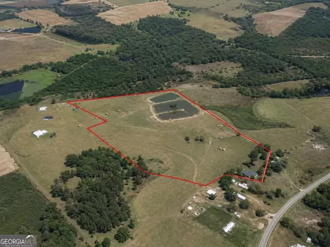 23 03 Acres Carters Bridge Rd, Claxton, GA 30417 photo 3