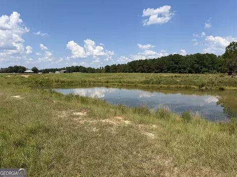 23 03 Acres Carters Bridge Rd, Claxton, GA 30417 photo 13
