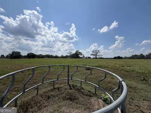 23 03 Acres Carters Bridge Rd, Claxton, GA 30417 photo 12