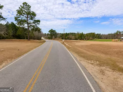 23 03 Acres Carters Bridge Rd, Claxton, GA 30417 photo 6