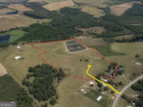 23 03 Acres Carters Bridge Rd, Claxton, GA 30417 photo 18