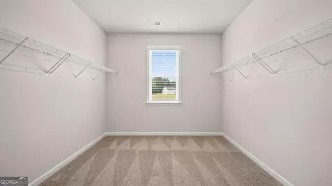 Other - 13623 Whitman Ln, Covington, GA 30014 photo 4 of 4
