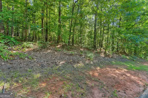 786 Cherry Ct #718, Clarkesville, GA 30523 photo 10