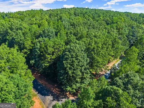 786 Cherry Ct #718, Clarkesville, GA 30523 photo 37