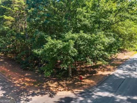 786 Cherry Ct #718, Clarkesville, GA 30523 photo 7