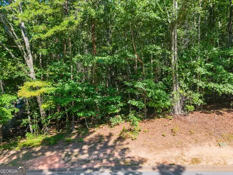 786 Cherry Ct #718, Clarkesville, GA 30523 photo 8