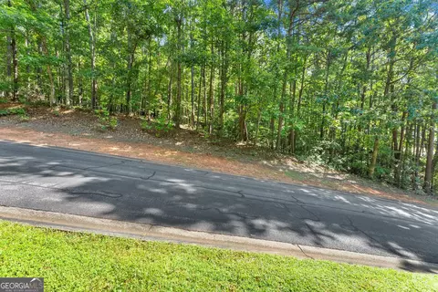 786 Cherry Ct #718, Clarkesville, GA 30523 photo 11
