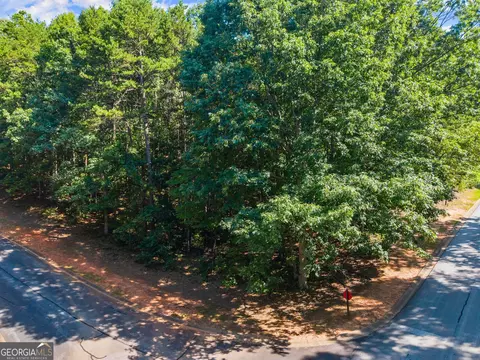 786 Cherry Ct #718, Clarkesville, GA 30523 photo 5