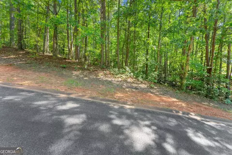 786 Cherry Ct #718, Clarkesville, GA 30523 photo 12