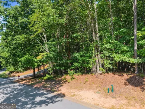786 Cherry Ct #718, Clarkesville, GA 30523 photo 9