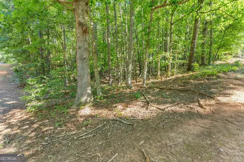 786 Cherry Ct #718, Clarkesville, GA 30523 photo 18