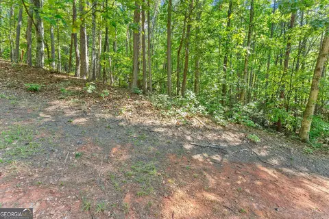 786 Cherry Ct #718, Clarkesville, GA 30523 photo 20