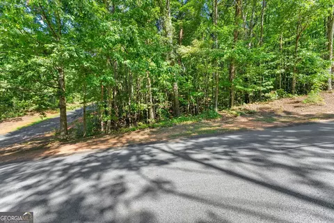786 Cherry Ct #718, Clarkesville, GA 30523 photo 14