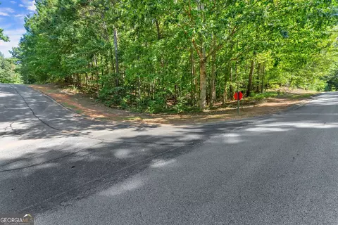 786 Cherry Ct #718, Clarkesville, GA 30523 photo 2