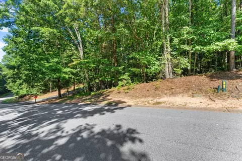 786 Cherry Ct #718, Clarkesville, GA 30523 photo 3