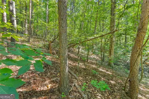 786 Cherry Ct #718, Clarkesville, GA 30523 photo 21