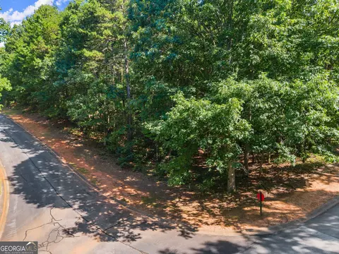 786 Cherry Ct #718, Clarkesville, GA 30523 photo 6