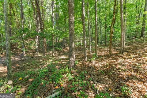 786 Cherry Ct #718, Clarkesville, GA 30523 photo 19