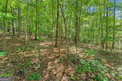 786 Cherry Ct #718, Clarkesville, GA 30523 photo 22