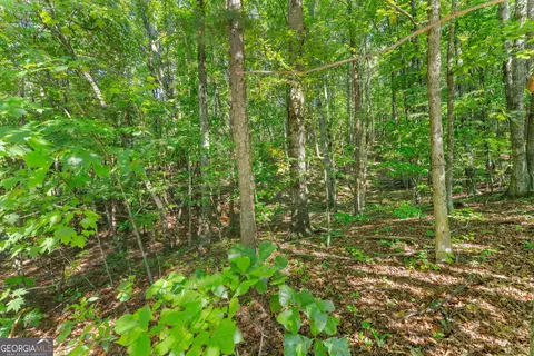 786 Cherry Ct #718, Clarkesville, GA 30523 photo 17