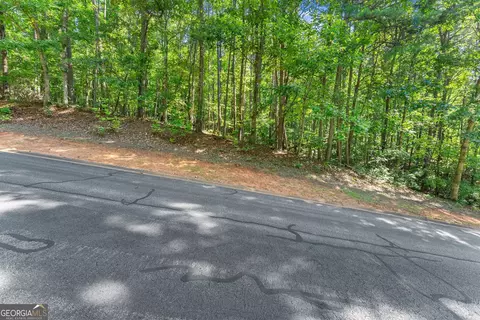 786 Cherry Ct #718, Clarkesville, GA 30523 photo 13