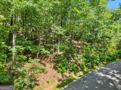 0 Raspberry Ln #1502, Clarkesville, GA 30523 photo 15