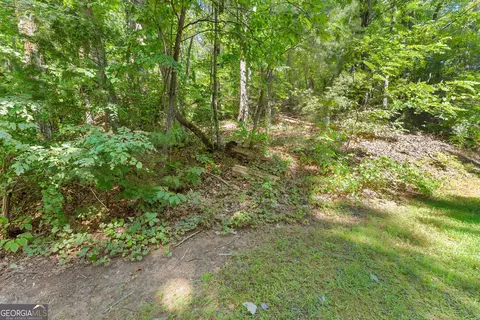 0 Raspberry Ln #1502, Clarkesville, GA 30523 photo 9