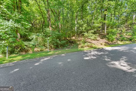 0 Raspberry Ln #1502, Clarkesville, GA 30523 photo 6