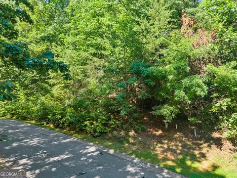 0 Raspberry Ln #1502, Clarkesville, GA 30523 photo 14