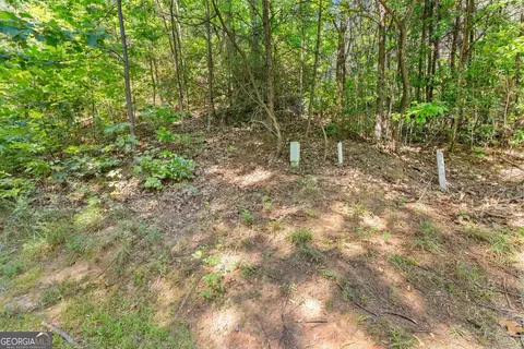 0 Raspberry Ln #1502, Clarkesville, GA 30523 photo 13