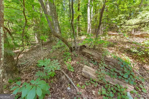 0 Raspberry Ln #1502, Clarkesville, GA 30523 photo 10