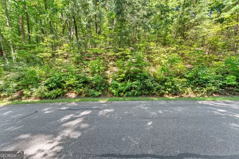 0 Raspberry Ln #1502, Clarkesville, GA 30523 photo 12
