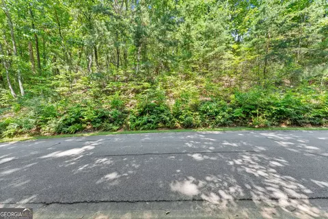 0 Raspberry Ln #1502, Clarkesville, GA 30523 photo 4